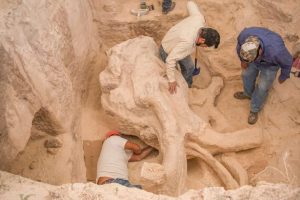 13669825_10153810748817023_8353963575803152307_n