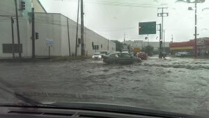 14034685_10154437521882486_8065367978366662283_n