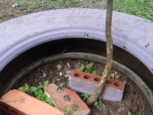 dsc00103