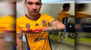 vii-444.jpg_594723958