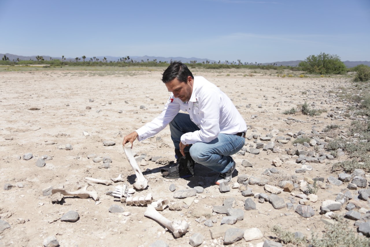 Invita Marco Gonz Lez A Titular De Agua Y Drenaje A Constatar Sequ A Al