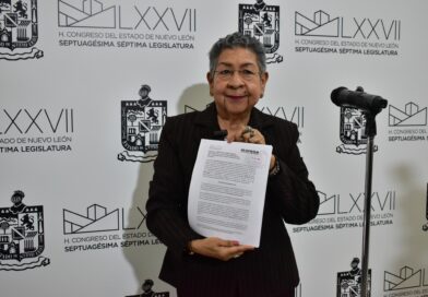 Plantea Reyna Reyes tipificar como delito el abandono de animales domésticos y aplicar sanciones