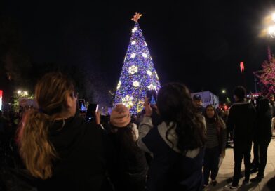 Ilumina Guadalupe Plaza Principal con Pino Navideño