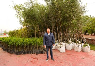 Anuncia Manuel Guerra Cavazos entrega de 10 mil árboles como parte del programa “Adopta Vida”