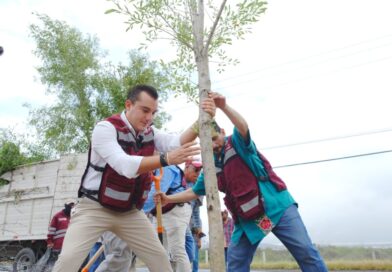 Manuel Guerra Cavazos reforesta avenida Lincoln con mil árboles del programa “Sembrando Vida”
