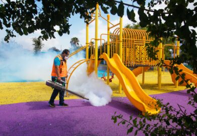 Refuerza Guadalupe prevención contra el dengue Refuerza Guadalupe prevención contra el dengue
